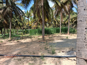 Agricultural/Farm Land for Sale in Marandahalli, Dharmapuri (52320 Sq.ft.)