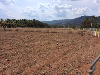 Agricultural/Farm Land for Sale in Marandahalli, Dharmapuri (174400 Sq.ft.)