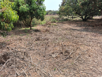 Agricultural/Farm Land for Sale in Thalli, Hosur (27904 Sq.ft.)