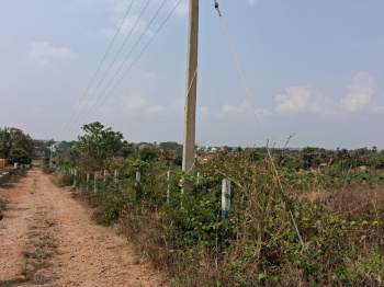 Agricultural/Farm Land for Sale in Thalli, Hosur (43600 Sq.ft.)