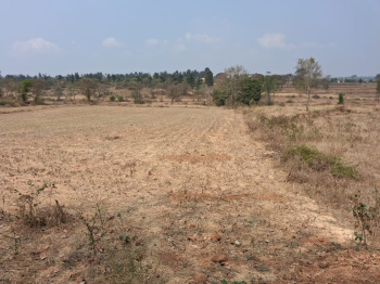 Agricultural/Farm Land for Sale in Thalli, Hosur (46652 Sq.ft.)