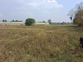 Agricultural/Farm Land for Sale in Thalli, Hosur (43600 Sq.ft.)