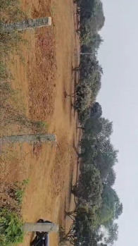 Property for sale in Thalli, Hosur