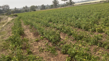 Company warehouse layout investment purpose