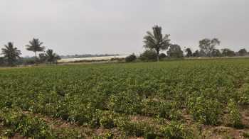 Property for sale in Kelamangalam Road, Hosur