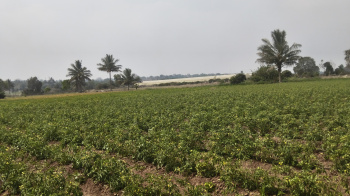 Property for sale in Kelamangalam Road, Hosur