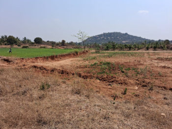 Agricultural/Farm Land for Sale in Rayakottai Road, Hosur (37060 Sq.ft.)