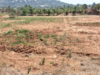 Property for sale in Rayakottai Road, Hosur