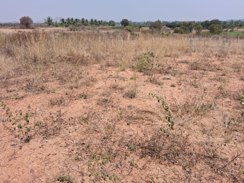 Property for sale in Rayakottai Road, Hosur