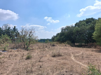 Agricultural/Farm Land for Sale in Marandahalli, Dharmapuri (392400 Sq.ft.)