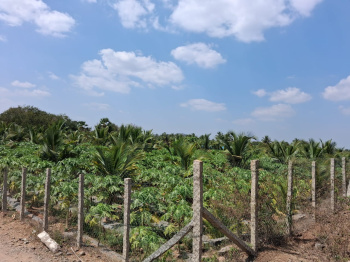 Agricultural/Farm Land for Sale in Marandahalli, Dharmapuri (87200 Sq.ft.)