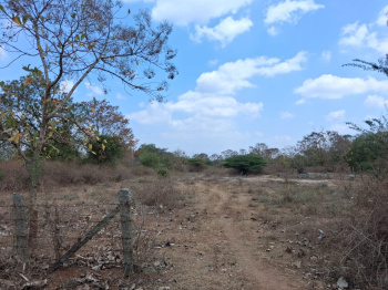 Agricultural/Farm Land for Sale in Marandahalli, Dharmapuri (218000 Sq.ft.)