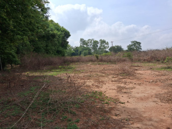 Agricultural/Farm Land for Sale in Thalli, Krishnagiri (115540 Sq.ft.)