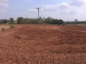 Agricultural/Farm Land for Sale in Thalli, Hosur (1.26 Acre)
