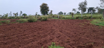 Agricultural/Farm Land for Sale in Thalli, Hosur (3.12 Acre)