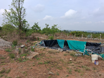 Agricultural/Farm Land for Sale in Thalli, Hosur (3.50 Acre)