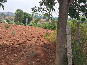 Agricultural/Farm Land for Sale in Thalli, Hosur (1.38 Acre)