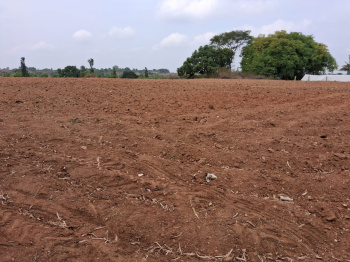Agricultural/Farm Land for Sale in Thalli, Hosur (1.25 Acre)