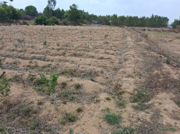 Agricultural/Farm Land for Sale in Shoolagiri, Hosur (1.50 Acre)