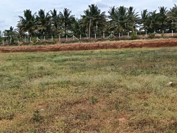 Property for sale in Shoolagiri, Krishnagiri