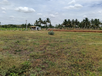 Agricultural/Farm Land for Sale in Shoolagiri, Krishnagiri (1.04 Acre)