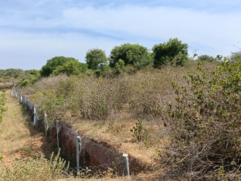 Agricultural/Farm Land for Sale in Shoolagiri, Krishnagiri (7.50 Acre)