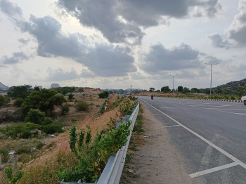Agricultural/Farm Land for Sale in Shoolagiri, Hosur (50 Cent)