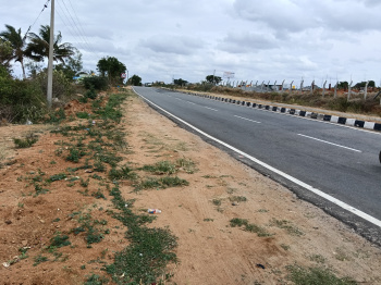 Agricultural/Farm Land for Sale in Shoolagiri, Hosur (25 Cent)
