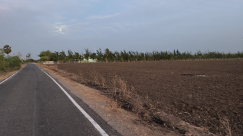 Agricultural/Farm Land for Sale in Srivaikuntam, Thoothukudi (7 Acre)