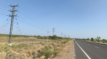Agricultural/Farm Land for Sale in Madurai Highway, Thoothukudi (116 Acre)