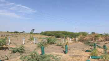 Agricultural/Farm Land for Sale in Madurai Highway, Thoothukudi (5000 Acre)