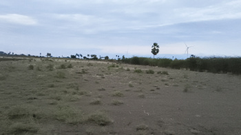 Agricultural/Farm Land for Sale in Ettayapuram, Thoothukudi (35 Acre)