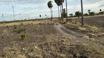 Agricultural/Farm Land for Sale in Vilathikulam, Thoothukudi (60 Acre)
