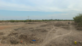 Agricultural/Farm Land for Sale in Ottapidaram, Thoothukudi (2 Acre)