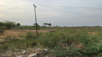 Agricultural/Farm Land for Sale in V. Pudur, Thoothukudi (36 Cent)