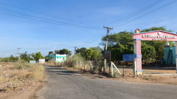 Agricultural/Farm Land for Sale in Ottapidaram, Thoothukudi (9 Acre)