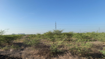Agricultural/Farm Land for Sale in Ottapidaram, Thoothukudi (4 Acre)