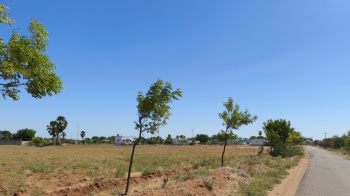 Agricultural/Farm Land for Sale in Ottapidaram, Thoothukudi (138 Acre)