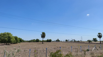 Agricultural/Farm Land for Sale in Ottapidaram, Thoothukudi (4 Acre)