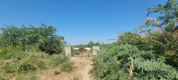 Property for sale in Nadol, Pali