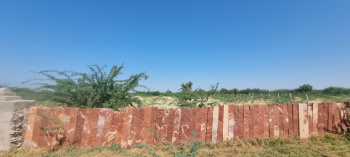 22 Bigha Agricultural/Farm Land for Sale in Rani, Pali