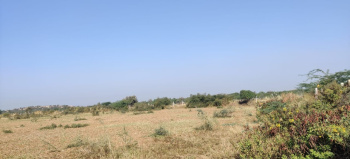 5.2 Bigha Agricultural/Farm Land for Sale in Nadol, Pali