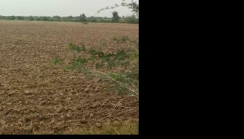 102.5 Bigha Agricultural/Farm Land for Sale in Nadol, Pali