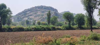 24 Bigha Agricultural/Farm Land for Sale in Sadri, Pali