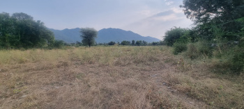 6 Bigha Agricultural/Farm Land for Sale in Desuri, Pali
