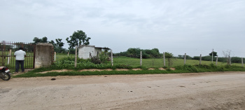 5.5 Bigha Agricultural/Farm Land for Sale in Rani, Pali