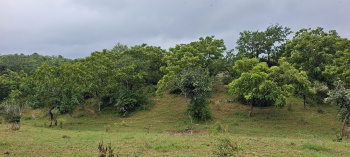 Property for sale in Boraj, Rajsamand