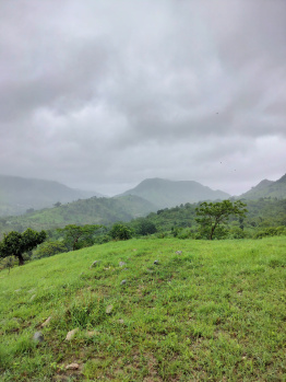 80 Bigha Agricultural/Farm Land for Sale in Kumbhalgarh, Rajsamand