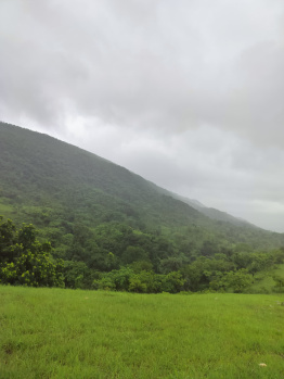 Property for sale in Kumbhalgarh, Rajsamand
