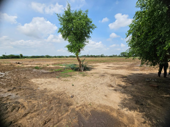Residential Plot for Sale in Kherwa Road, Pali (24 Bigha)
